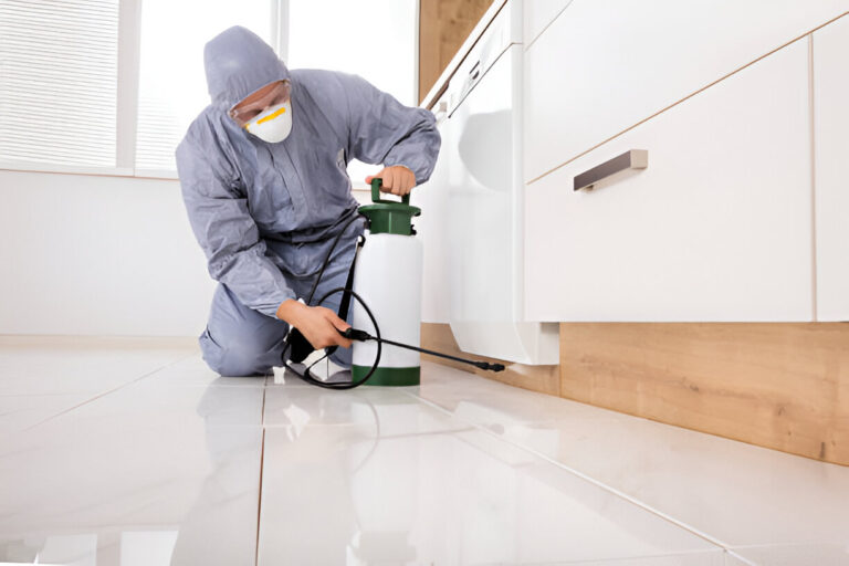 Pest Control​ from $99